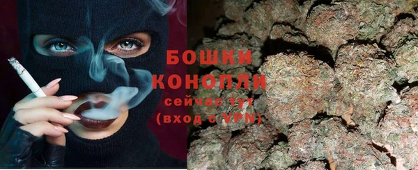 spice Козельск