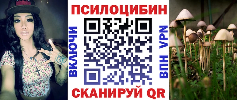 Галлюциногенные грибы MAGIC MUSHROOMS  Купить  Минеральные Воды 